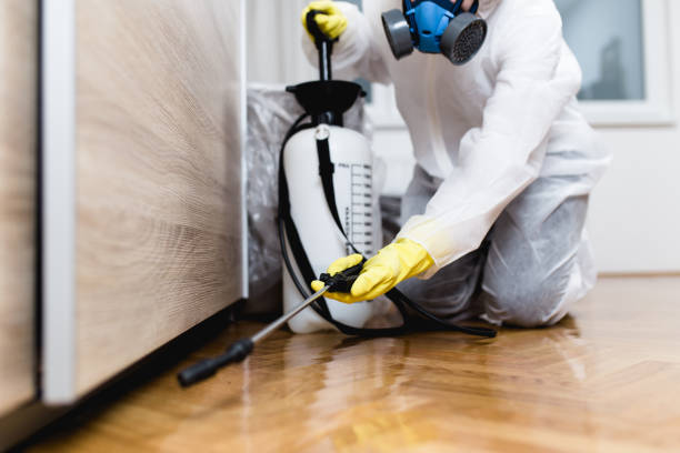 Professional Pest Control in Memphis, TX