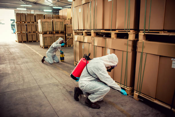 Best Pest Removal Services  in Memphis, TX