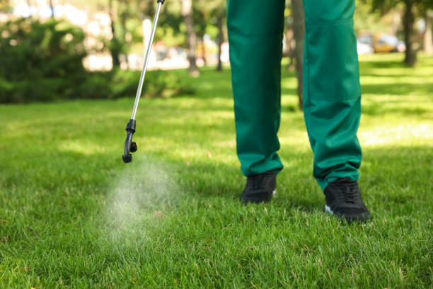 Best Pest Prevention Services  in Memphis, TX