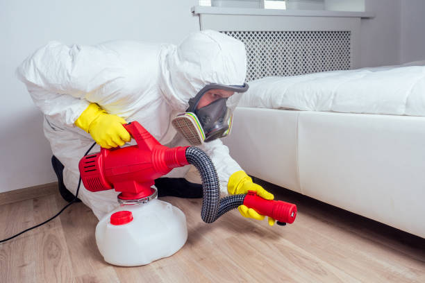Best Local Pest Control Services  in Memphis, TX
