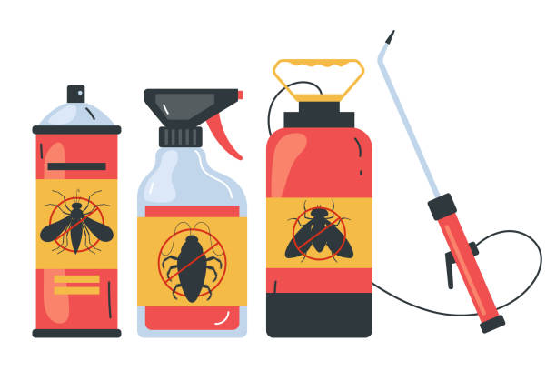 Best Termite Control Services  in Memphis, TX